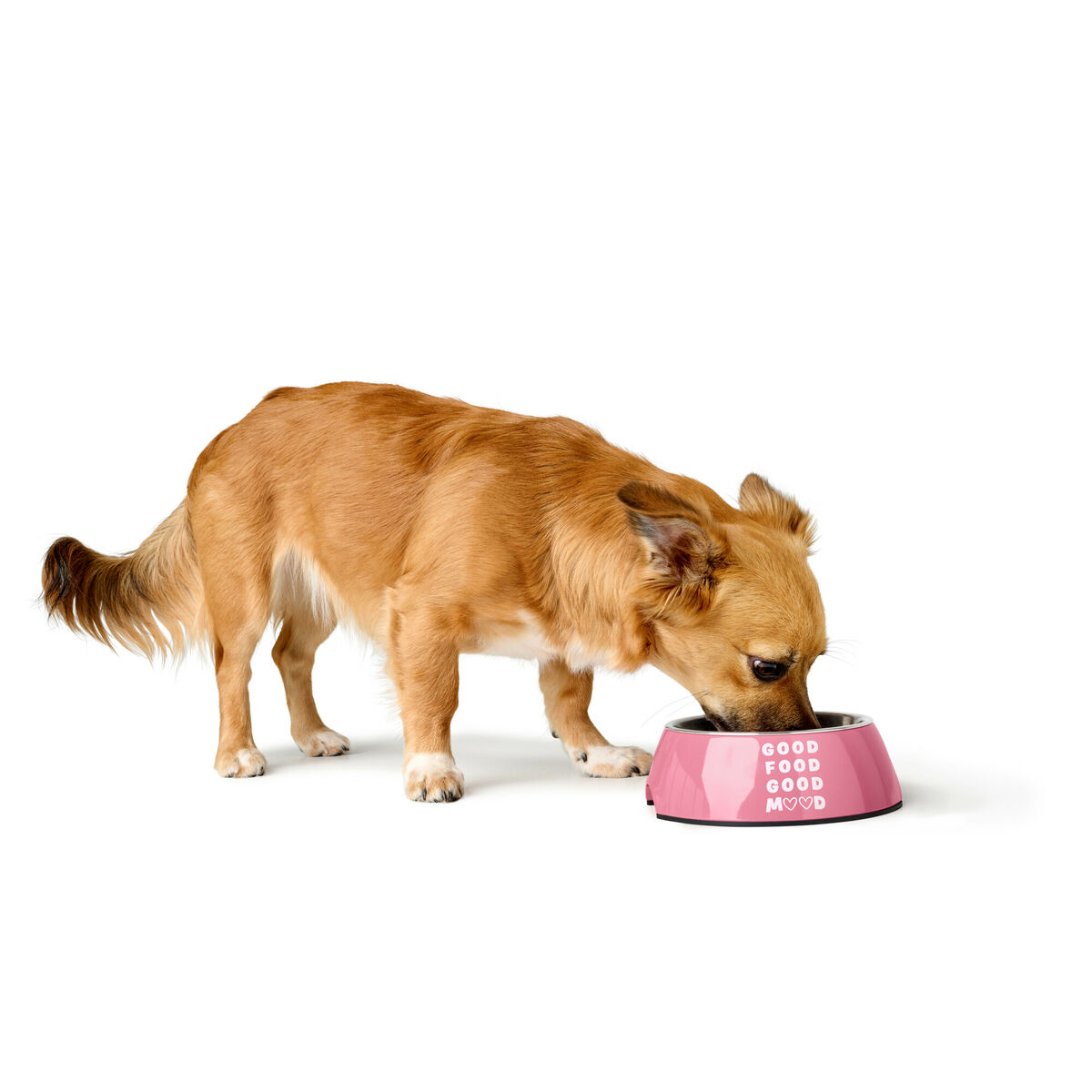 Hundemater Hunter Chester Rosa 350 ml
